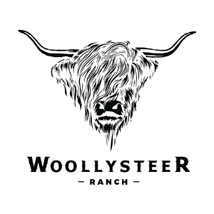 960_wooly-steer