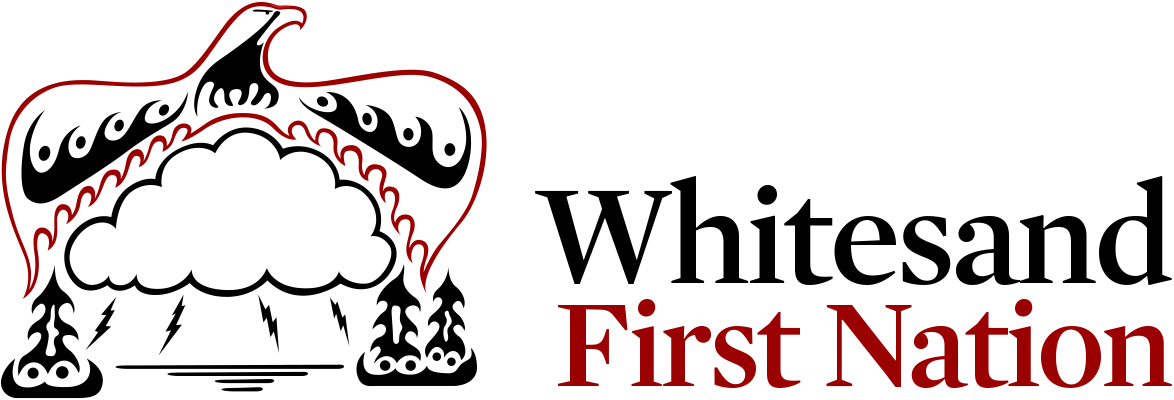 wsfn_logo_print